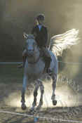 horse_rider_at_a_horse_show_sunlight_223.jpg (44923 bytes)