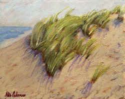 beach_grass.jpg (86659 bytes)