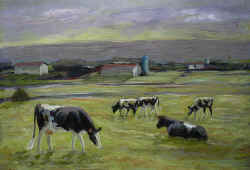 cows1.jpg (56372 bytes)