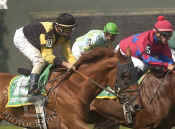 day_at_races_06_118stock.jpg (74969 bytes)