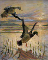 ducks.jpg (69923 bytes)