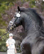 friezan_testing_038stock.jpg (64863 bytes)