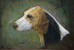 hound1.jpg (45106 bytes)