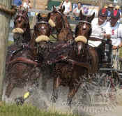 the_laurels_07_055stock.jpg (105453 bytes)